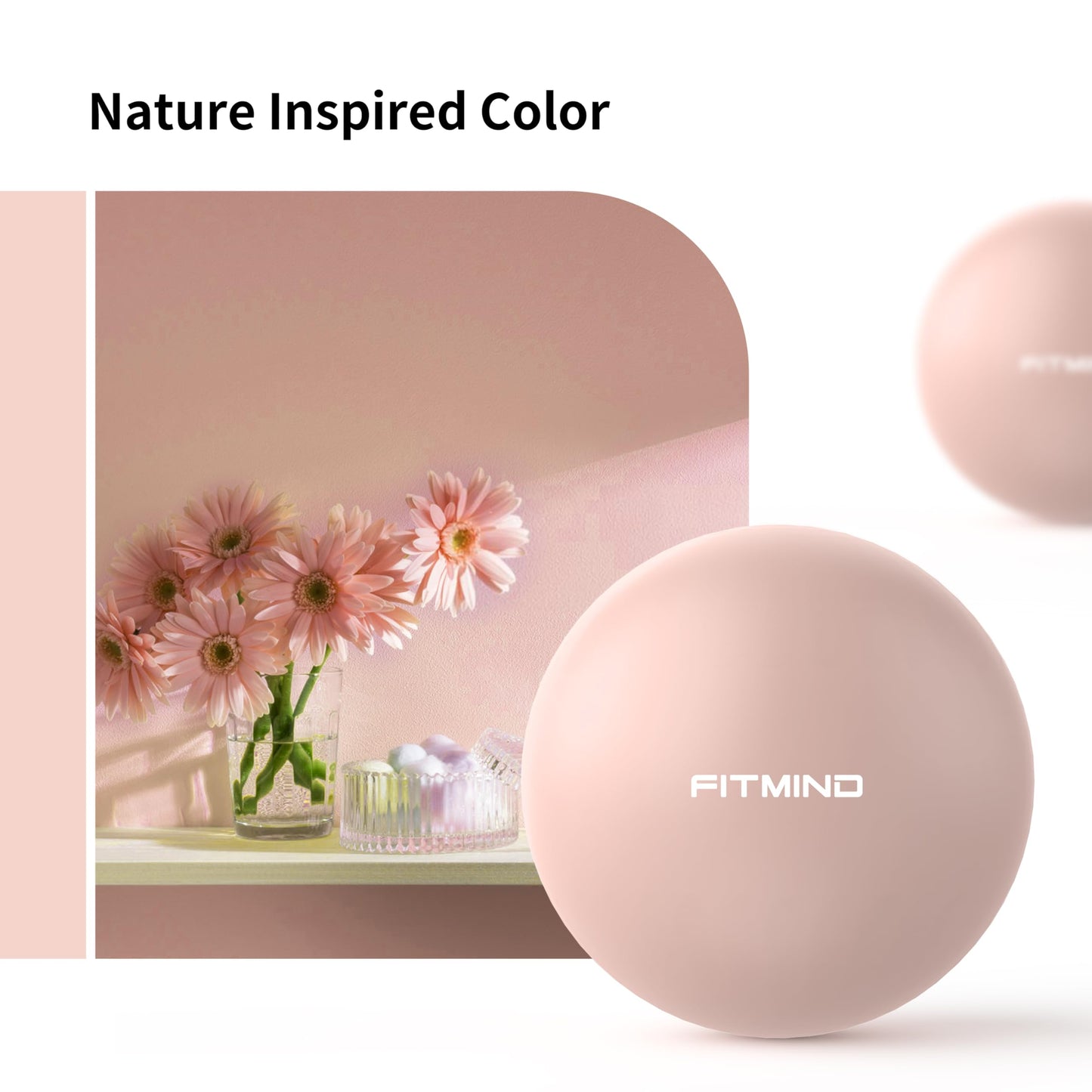 FITMIND Pilates Ball - 10 Inch Core Ball for Yoga, Stability, Fitness, Ab & Core Workouts - Pink