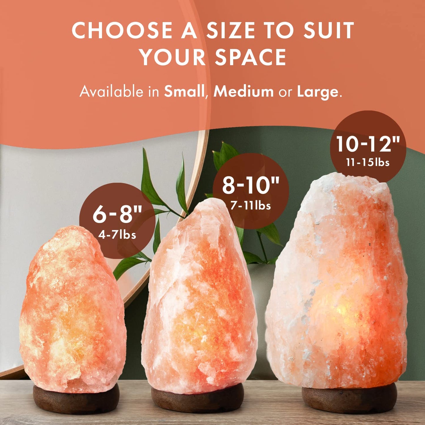 The Body Source Himalayan Salt Lamp 8-10 Inches (7-11lb) | Includes Dimmer Switch | Natural Salt Rock Lamp with Handcrafted Wooden Base & Night Light (Bulb Replacement)