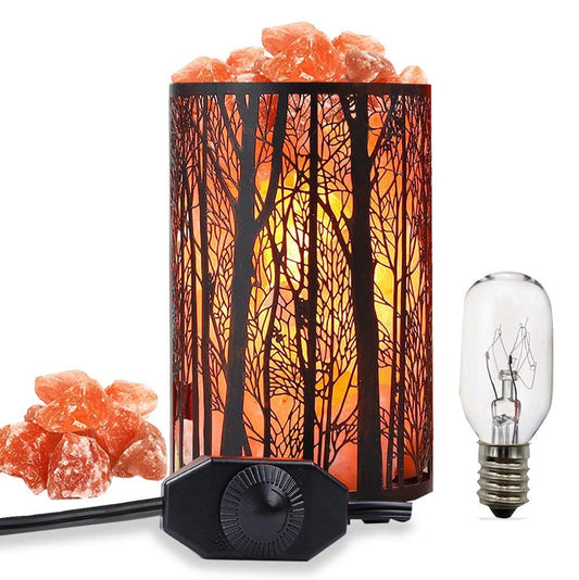 Shineled Salt Lamps, Natural Himalayan Salt Lamp, Forest Salt Lamp with Dimmer Switch, Salt Crystal Night Lights, Retro Metal Basket Decor Desk Lamp with Extra 25W Lamp Bulbs (Retro Red)