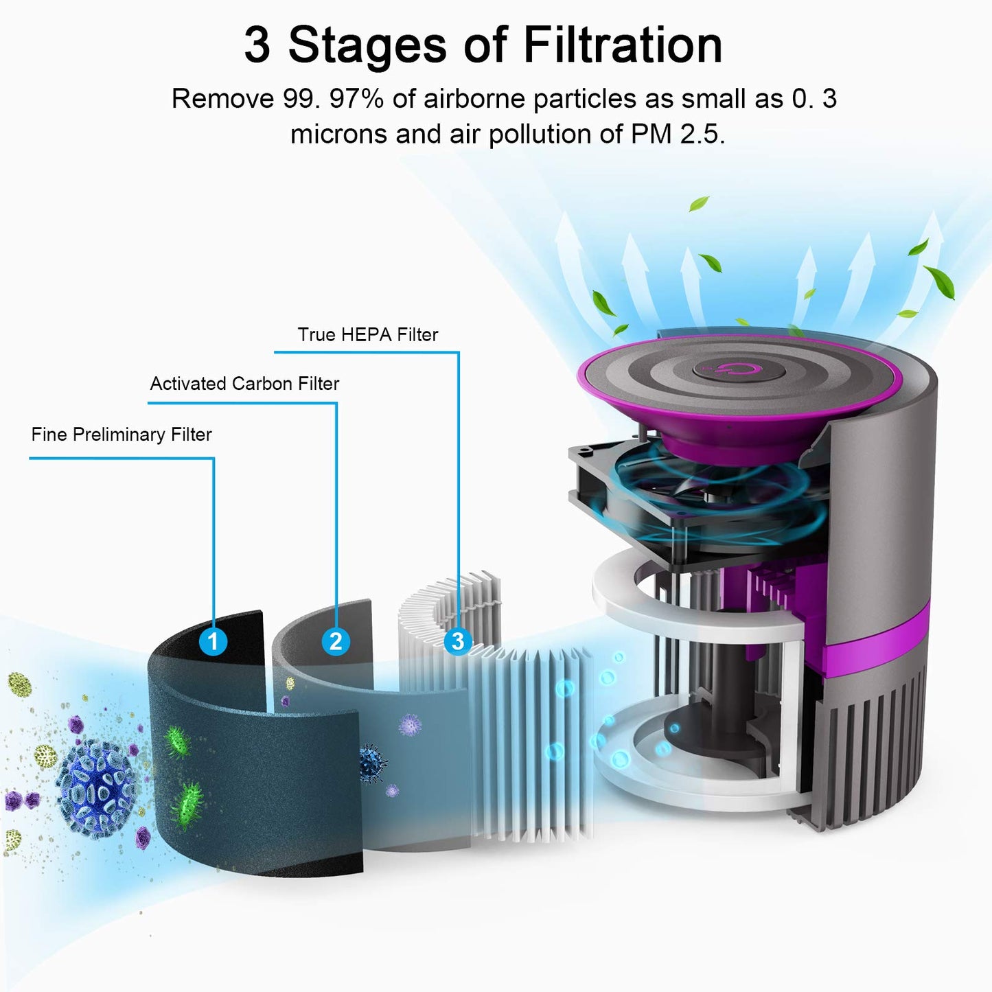 MEGAWISE Air Purifier for Home Bedroom Small Room Office, 3-IN-1 Filtration Air Cleaner for Smoke, Dust, Pet Dander, 100% Ozone Free, Available for California