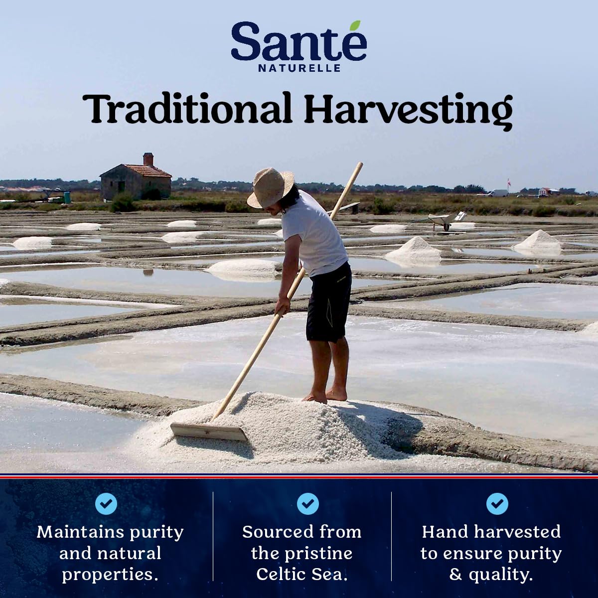 Sante Fine Ground Sea Salt From the Celtic Sea - 1.1lb (18oz) Unrefined French Sea Salt Organic, Rich in 82+ Minerals Salt, 100% Natural & Hand Harvested Sal Celtica