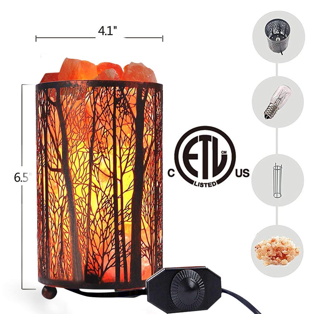 Shineled Salt Lamps, Natural Himalayan Salt Lamp, Forest Salt Lamp with Dimmer Switch, Salt Crystal Night Lights, Retro Metal Basket Decor Desk Lamp with Extra 25W Lamp Bulbs (Retro Red)