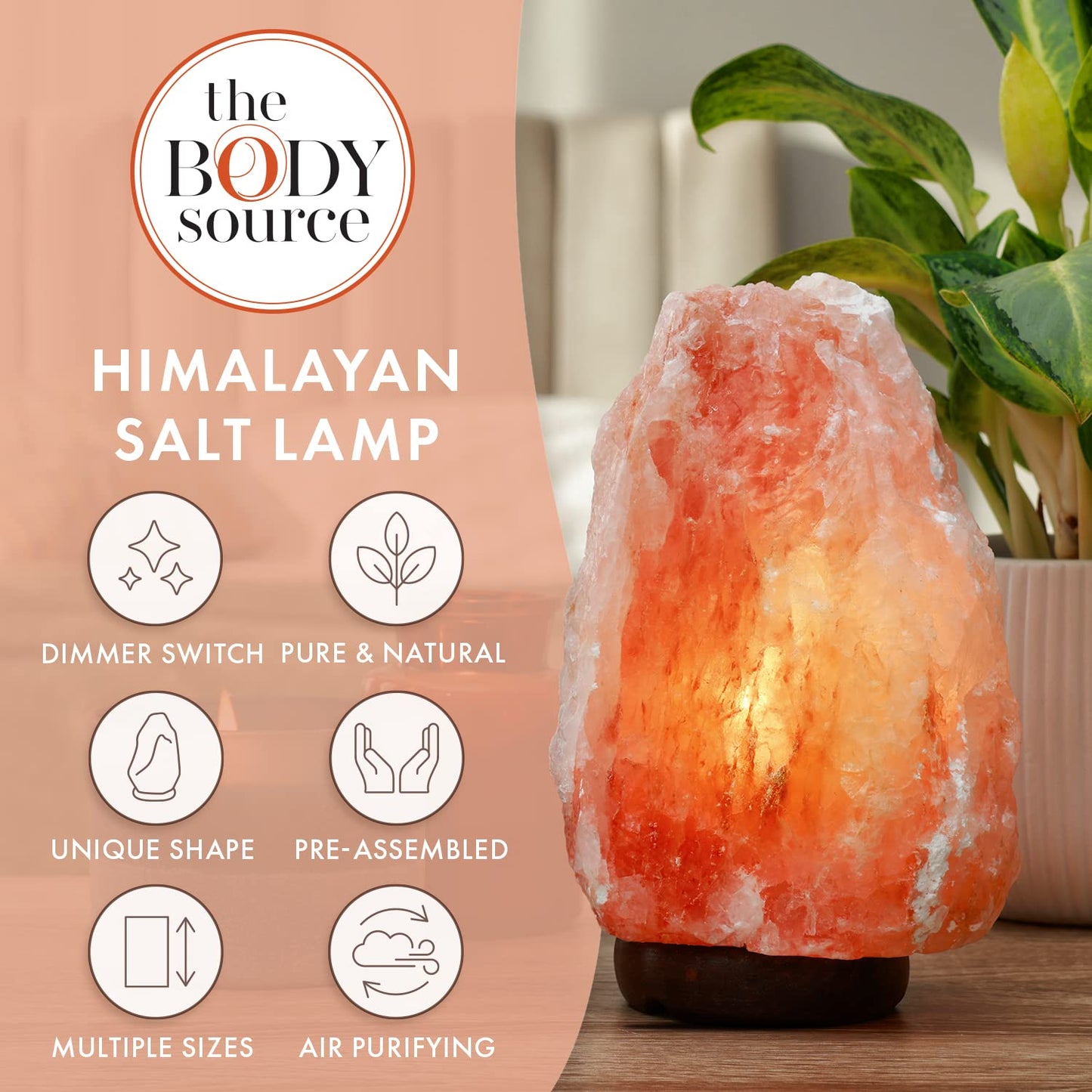 The Body Source Himalayan Salt Lamp 8-10 Inches (7-11lb) | Includes Dimmer Switch | Natural Salt Rock Lamp with Handcrafted Wooden Base & Night Light (Bulb Replacement)