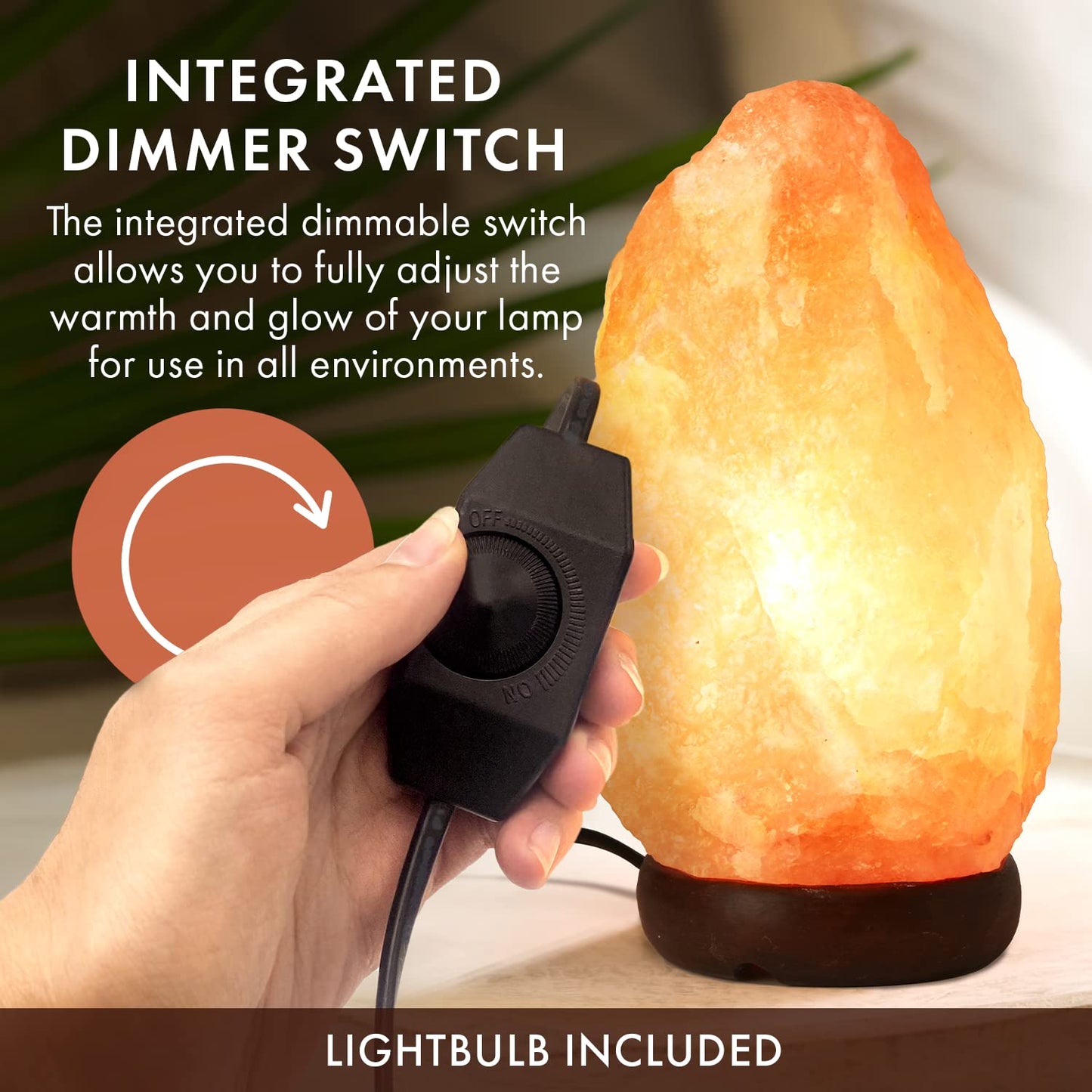 The Body Source Himalayan Salt Lamp 8-10 Inches (7-11lb) | Includes Dimmer Switch | Natural Salt Rock Lamp with Handcrafted Wooden Base & Night Light (Bulb Replacement)