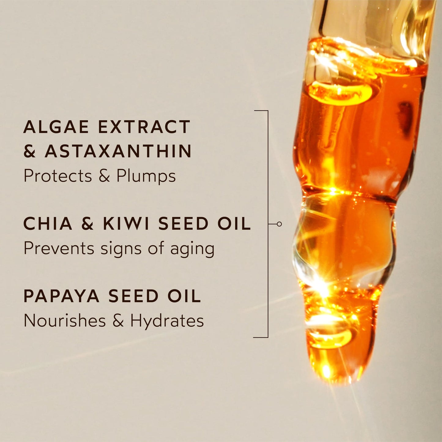 True Botanicals Renew Pure Radiance Oil | All Skin Types | Anti-Aging Face Oil w/Algae Extract | Treats Fine Lines & Wrinkles | Dermatologist Tested, All Natural, Vegan | 1 fl oz | 30 ml