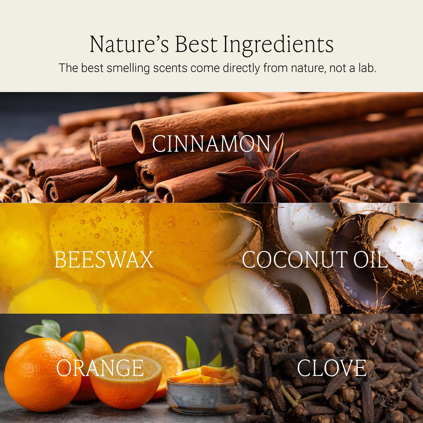 Fontana Candle Co Wood Wick Beeswax Jar Candle, Cinnamon Orange Clove - Made with Coconut Oil & Pure Essential Oils – Clean Burn, Long Lasting and Non-Toxic Candles for Home & Room Decor