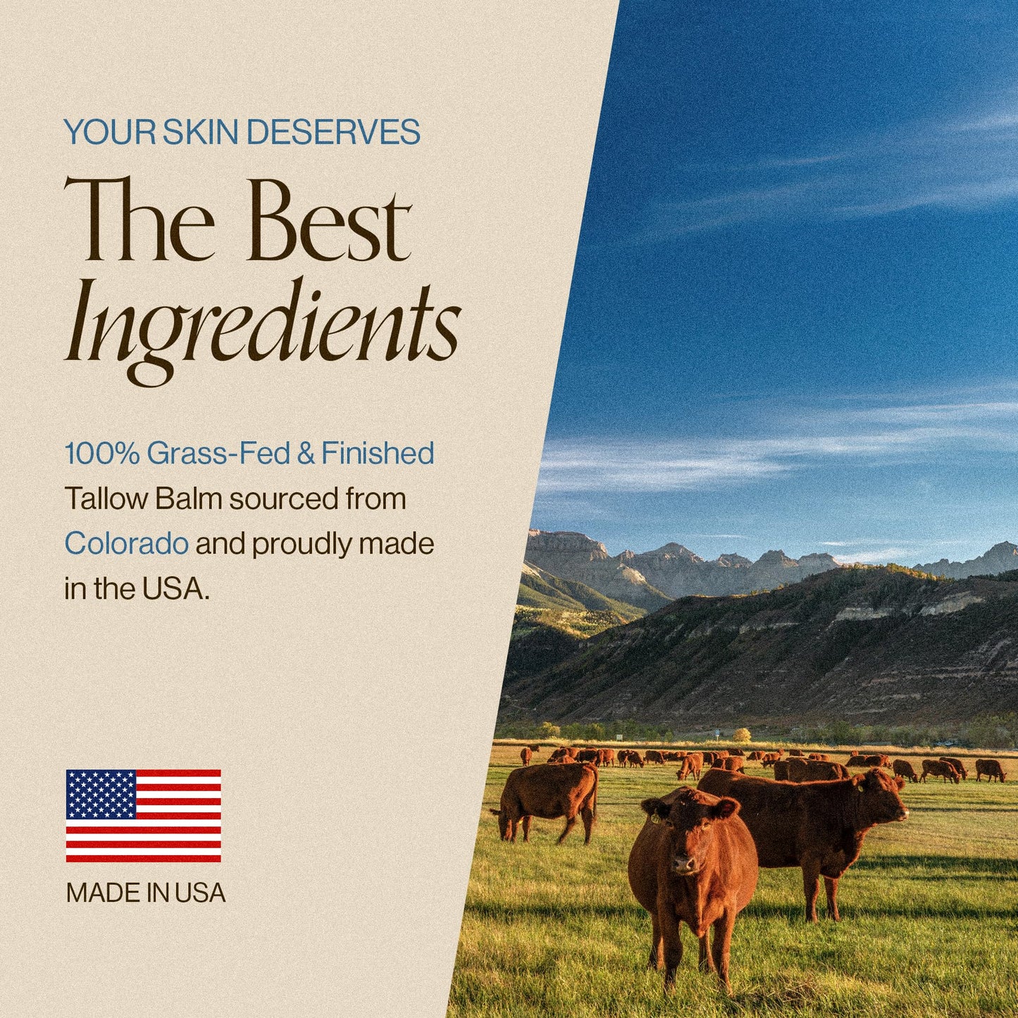 100% All Natural Grass Fed Beef Tallow for Skin & Face Moisturizer with Lavender, Jojoba & Blue Tansy - Made in USA Tallow Balm & Face Cream Lotion with Essential Oils for Daily Deep Nourishment 2oz