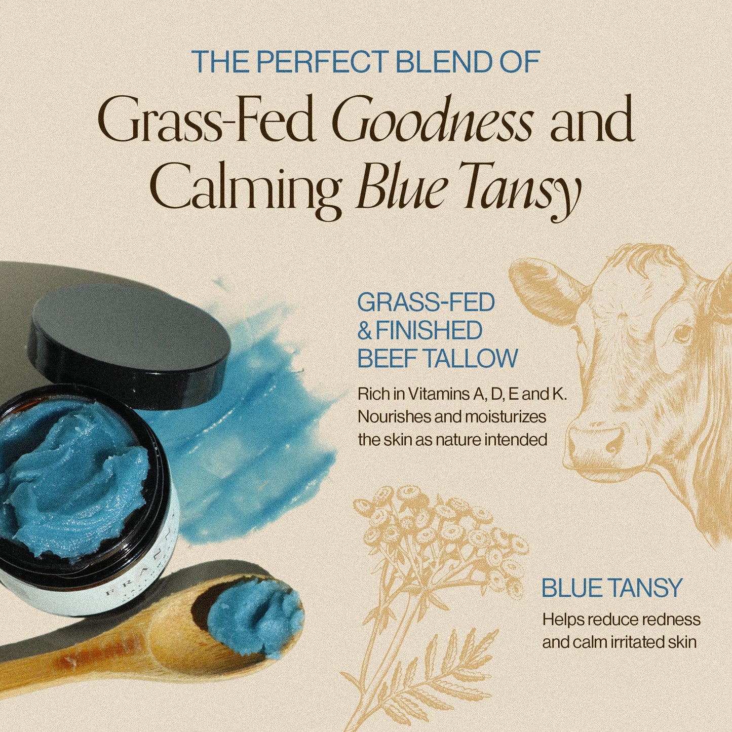 100% All Natural Grass Fed Beef Tallow for Skin & Face Moisturizer with Lavender, Jojoba & Blue Tansy - Made in USA Tallow Balm & Face Cream Lotion with Essential Oils for Daily Deep Nourishment 2oz